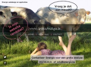 SEO SEA en internetmarketing via sinergio