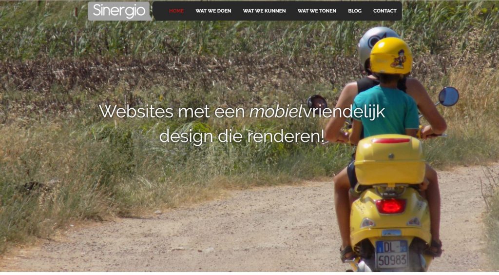 website sinergio vernieuwd