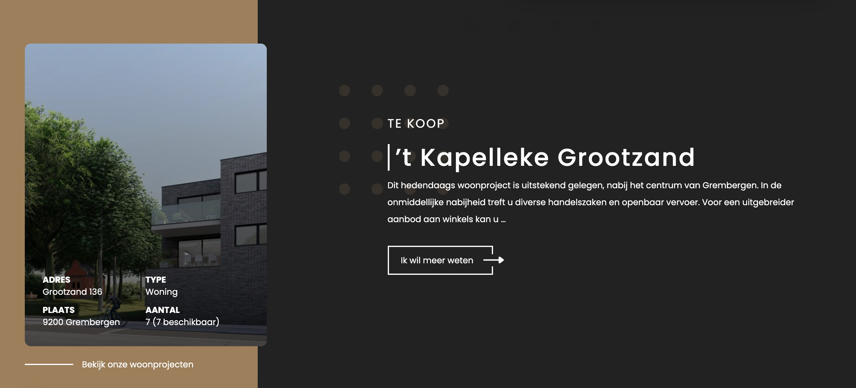 Kraanvogel website