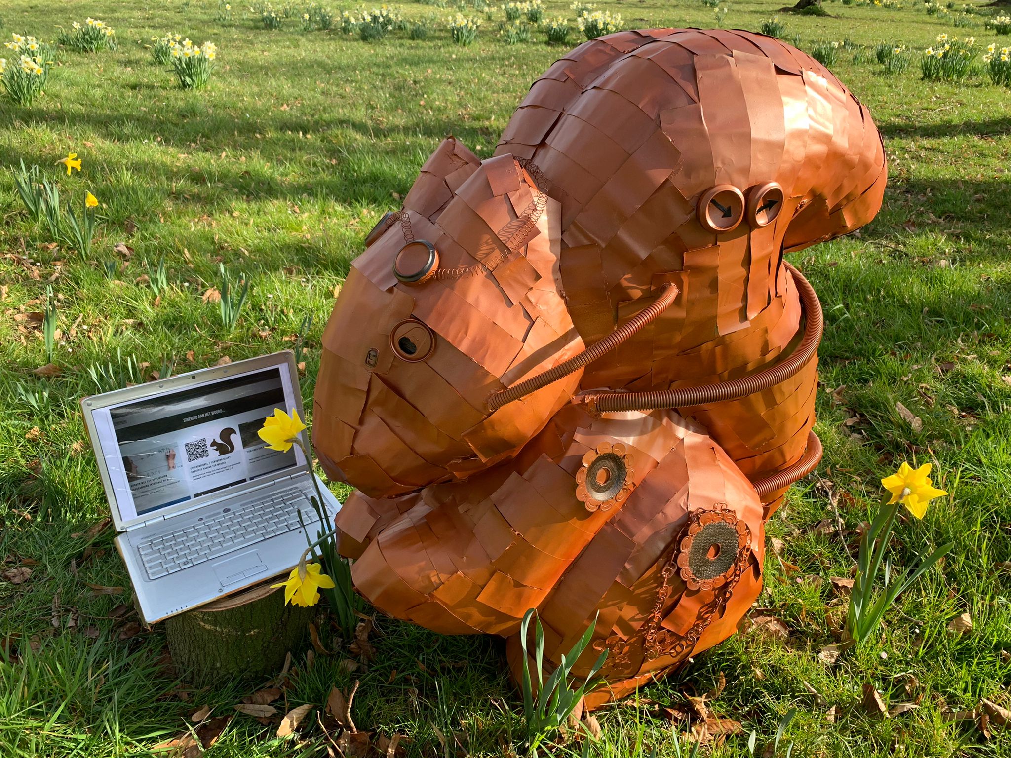 cybersquirrel sinergio webdesign